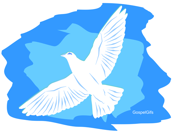 Fruit of the Spirit: Gentleness