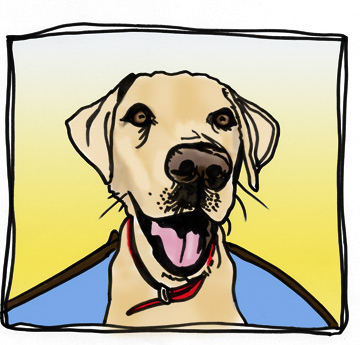 Dog Clipat