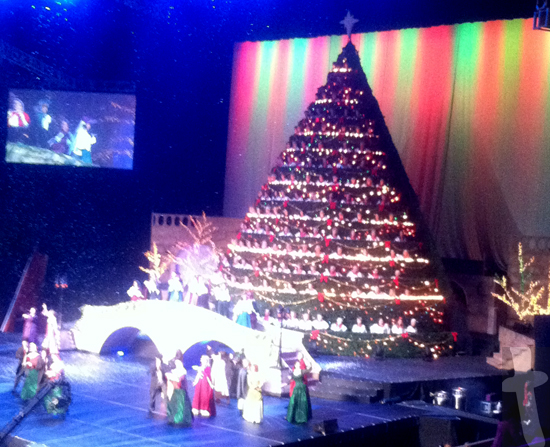 The Living Christmas Tree