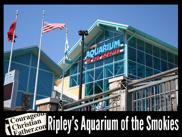 Ripley’s Aquarium of the Smokies Review