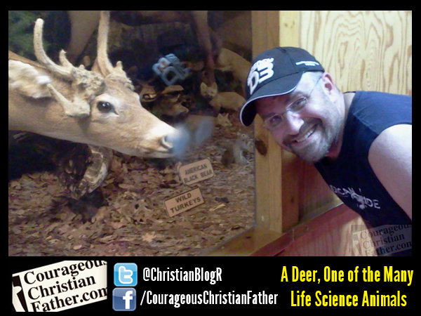 Life Science Collection