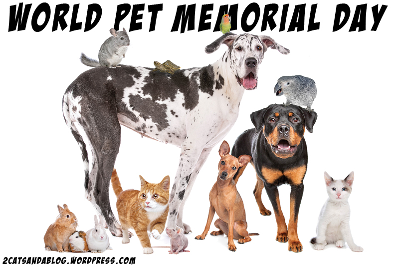 World Pet Memorial Day