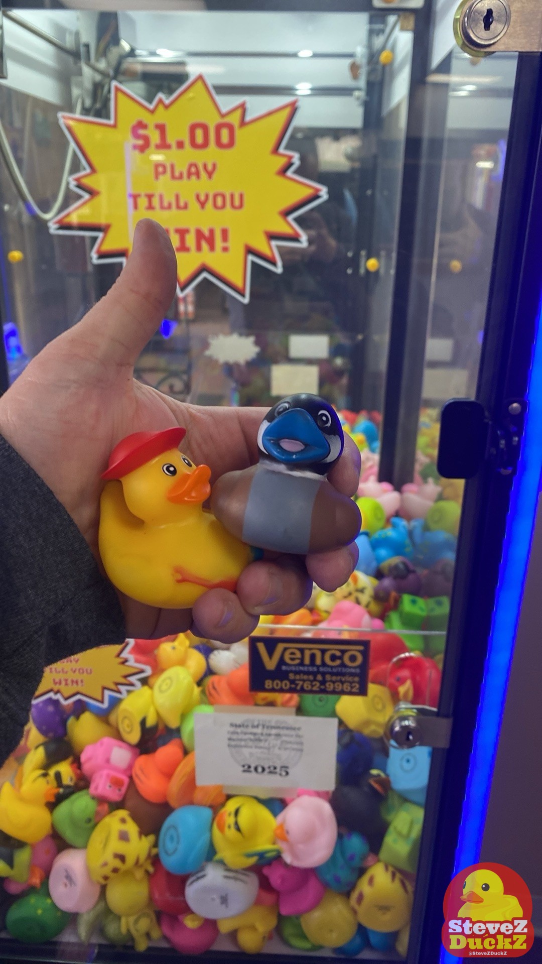 The Allure of Rubber Duck Claw Machines