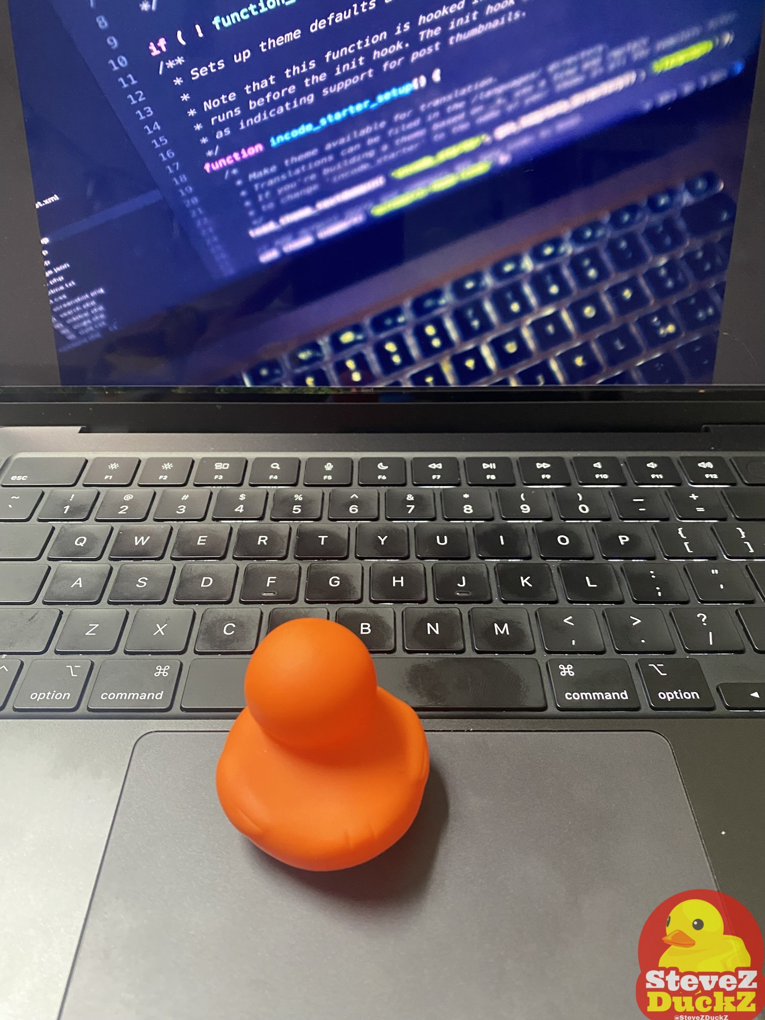 Quack! Diving into the World of Rubber Duck Debugging
