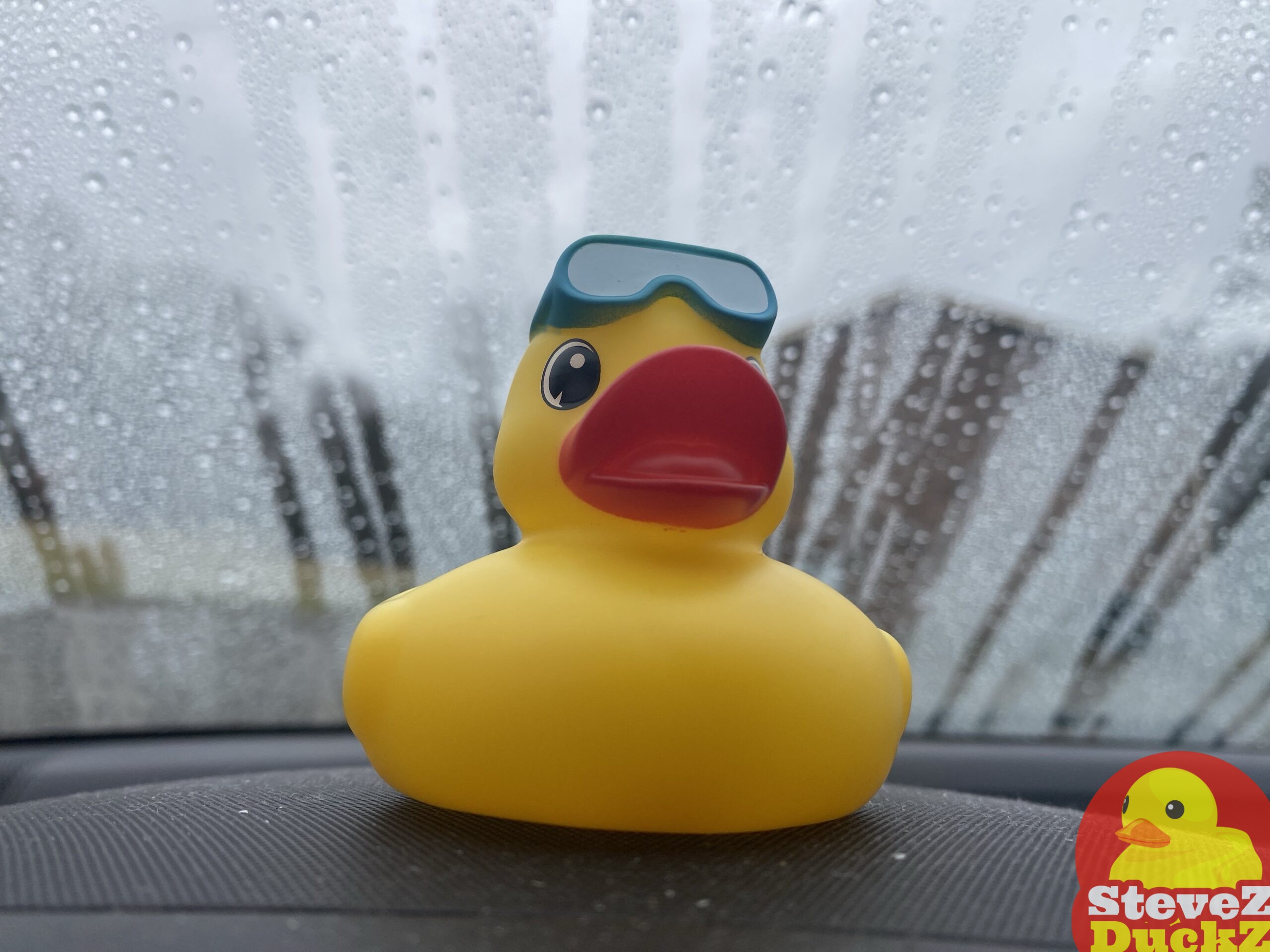 Aqua Duck