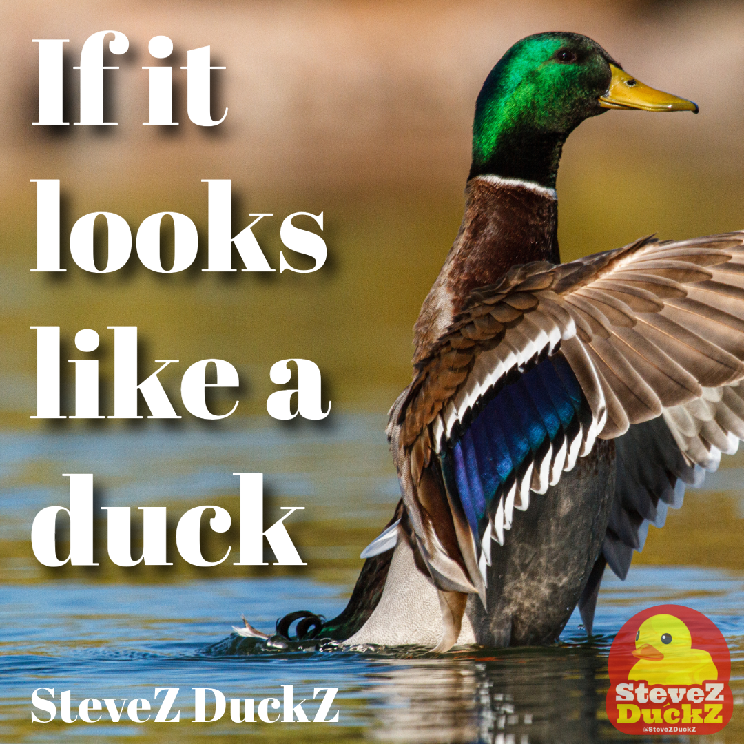 If it looks like a duck