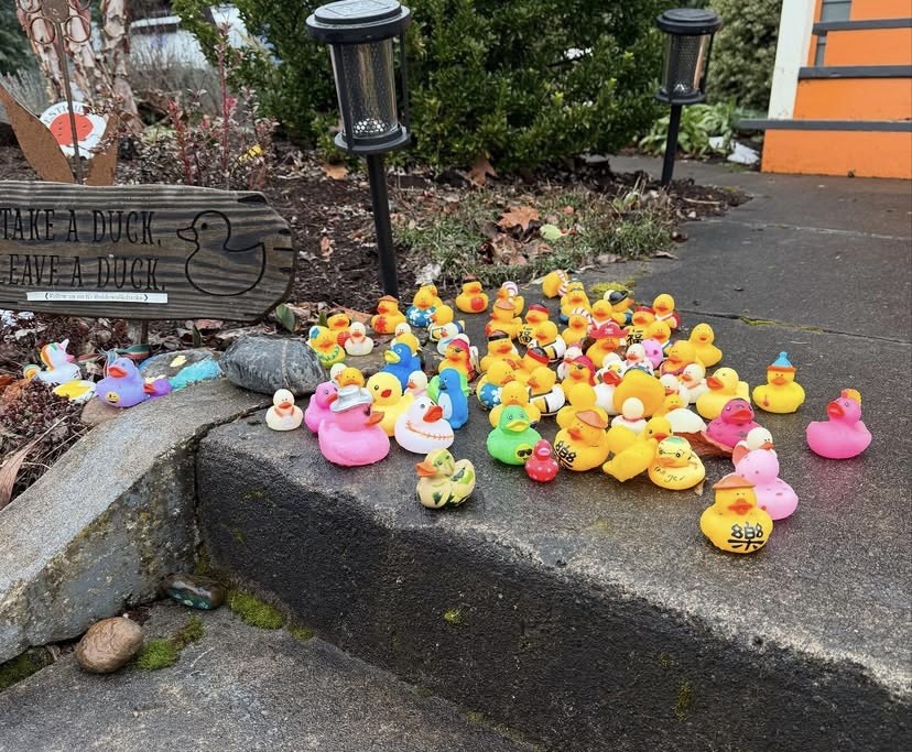 Take a Duck, Leave a Duck