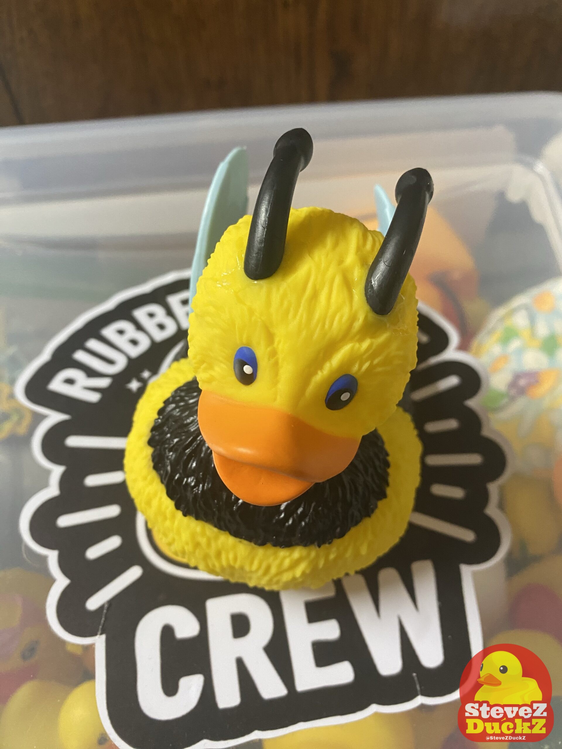 Professor Duck-Bee