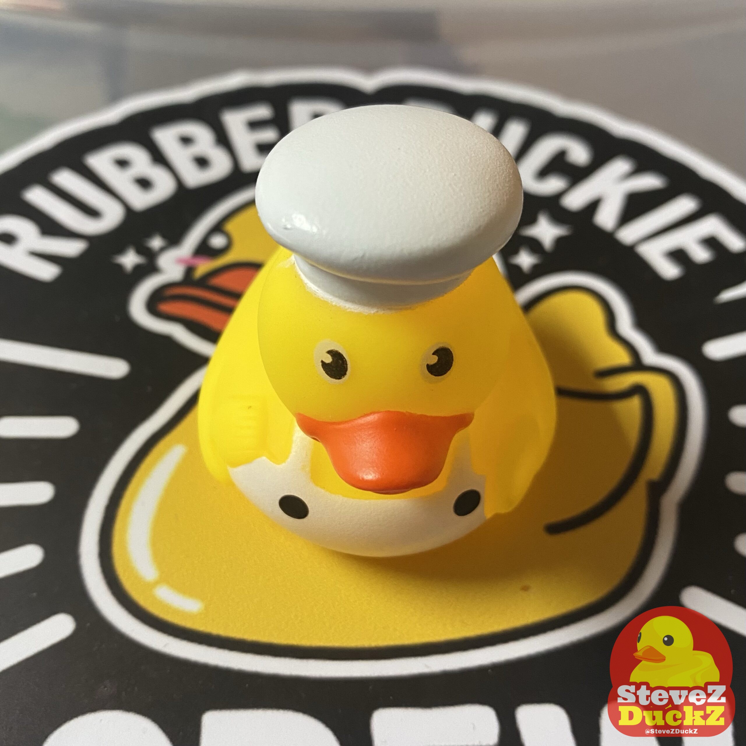 Gordon Ducksey: The Culinary Quack of Ponds Kitchen
