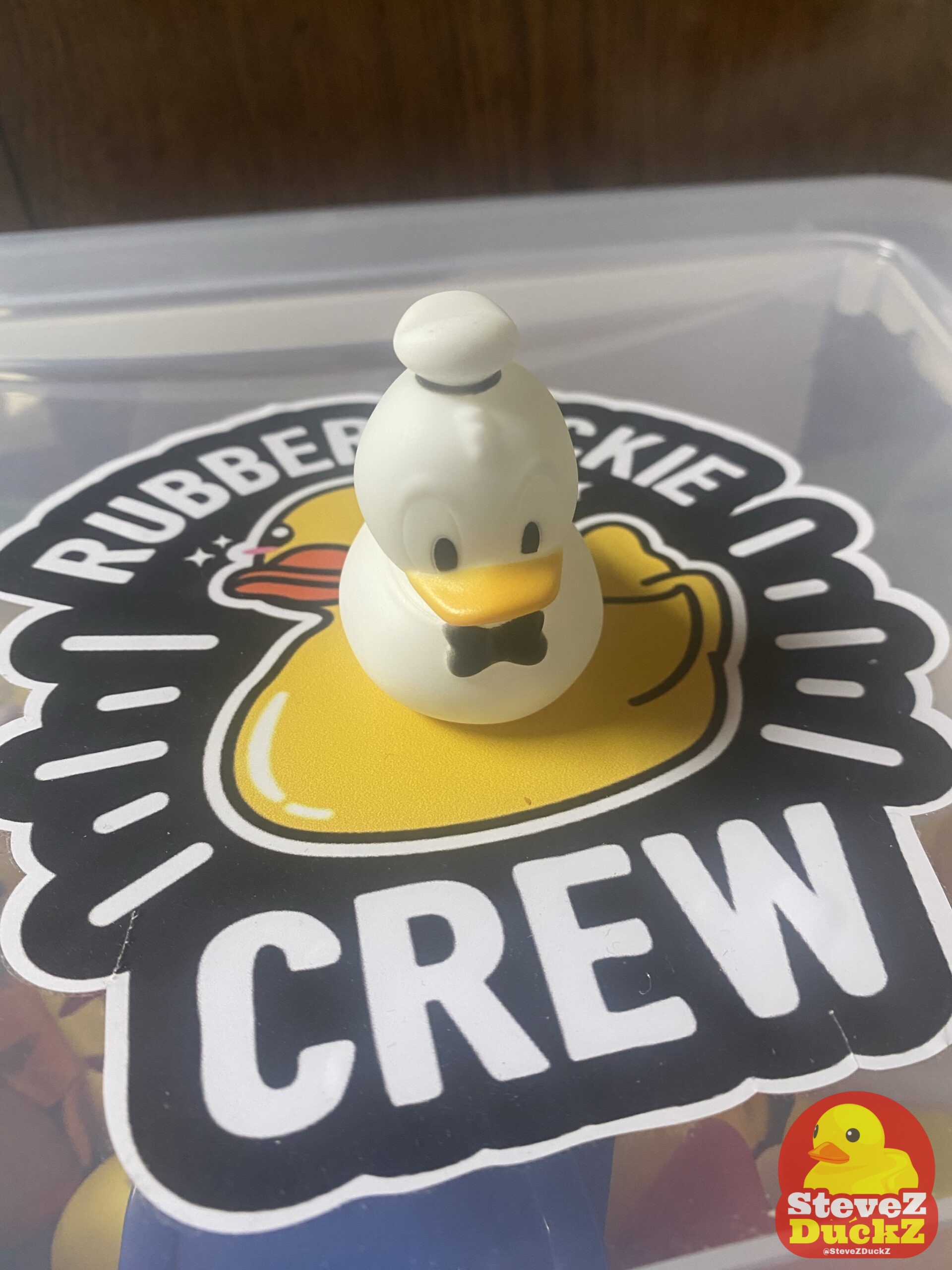 The Chronicles of Quackmore Duck: A Sailor’s Rubber Duck Tale
