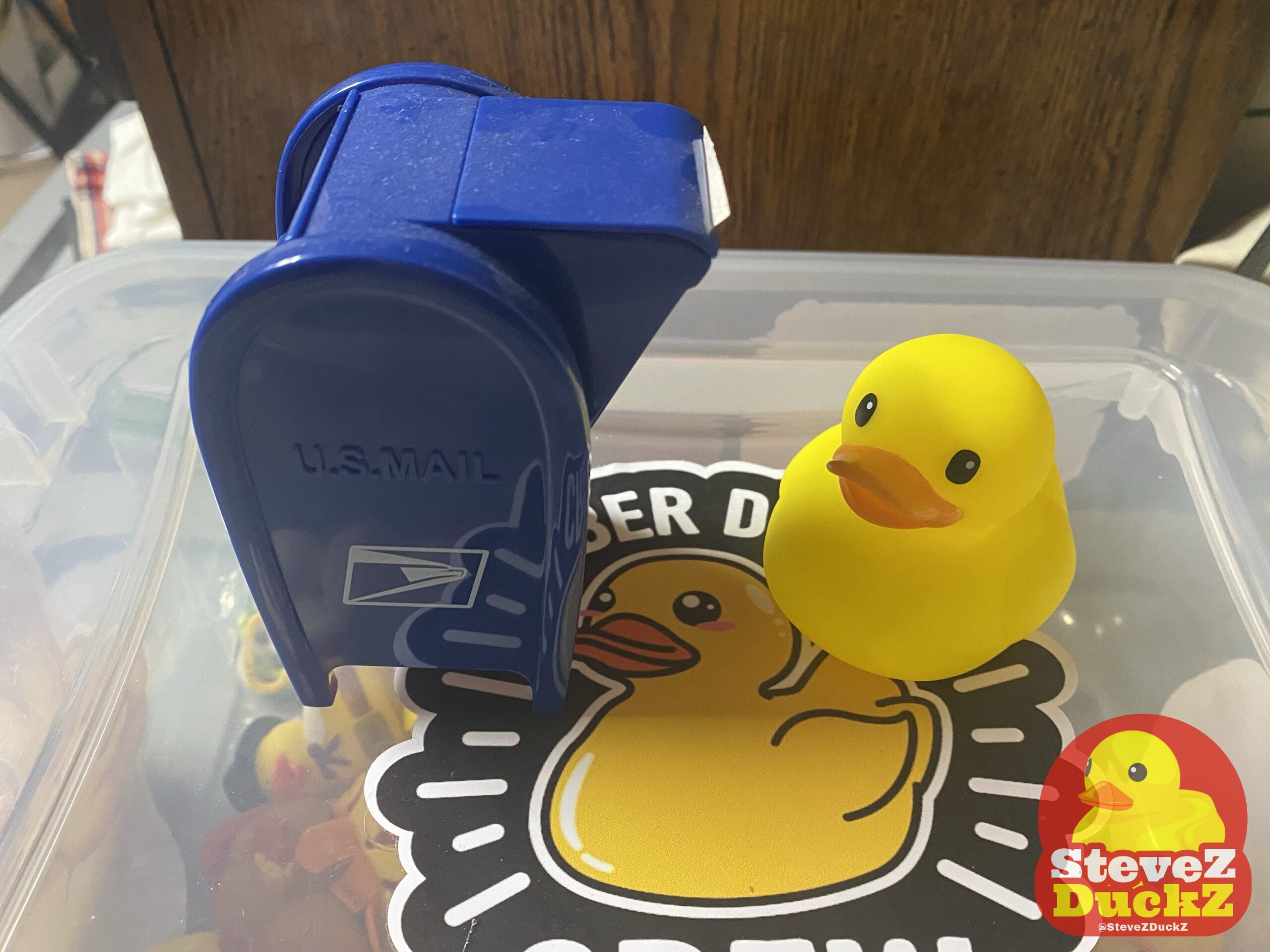 Ducksy Drew