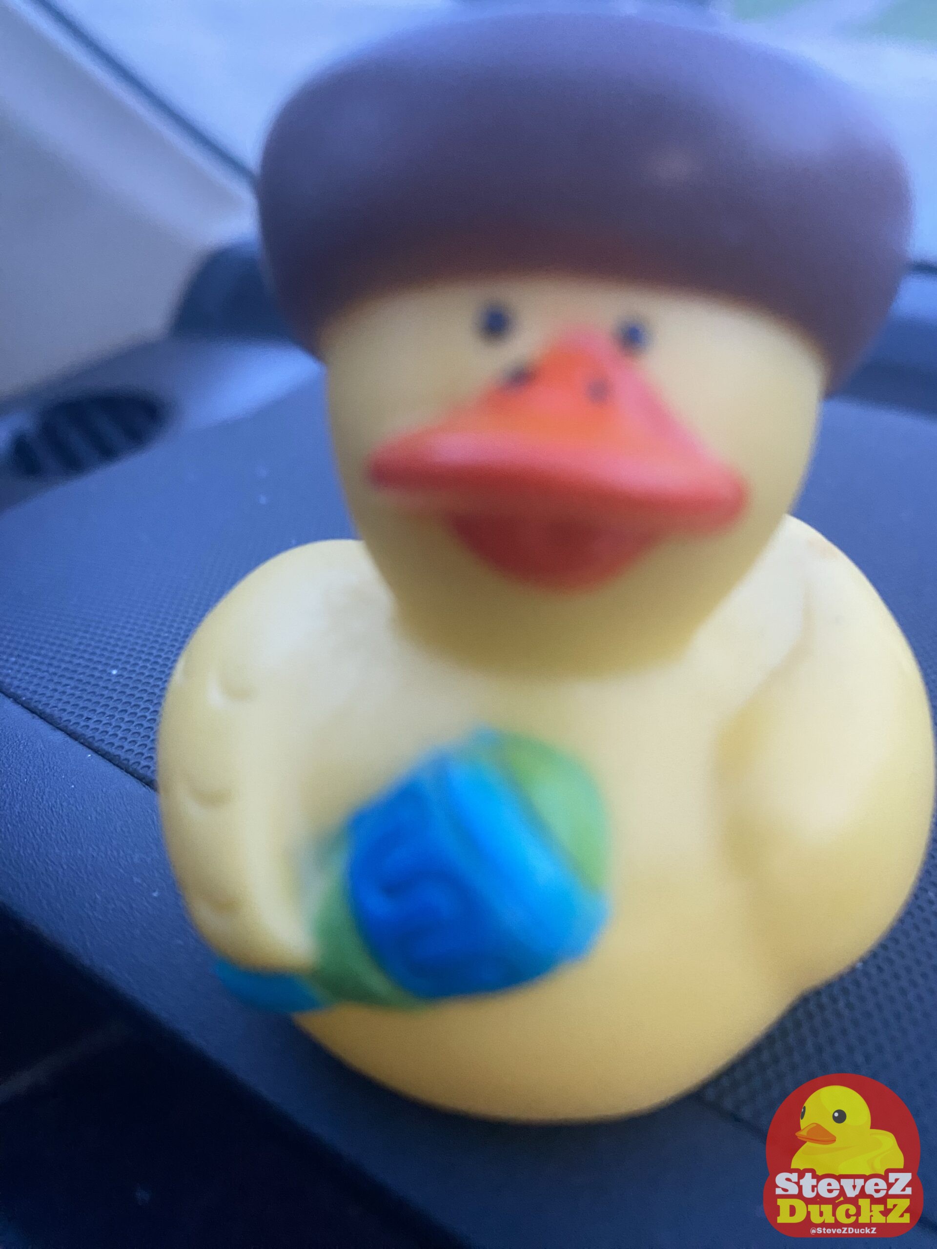 Pato Loco