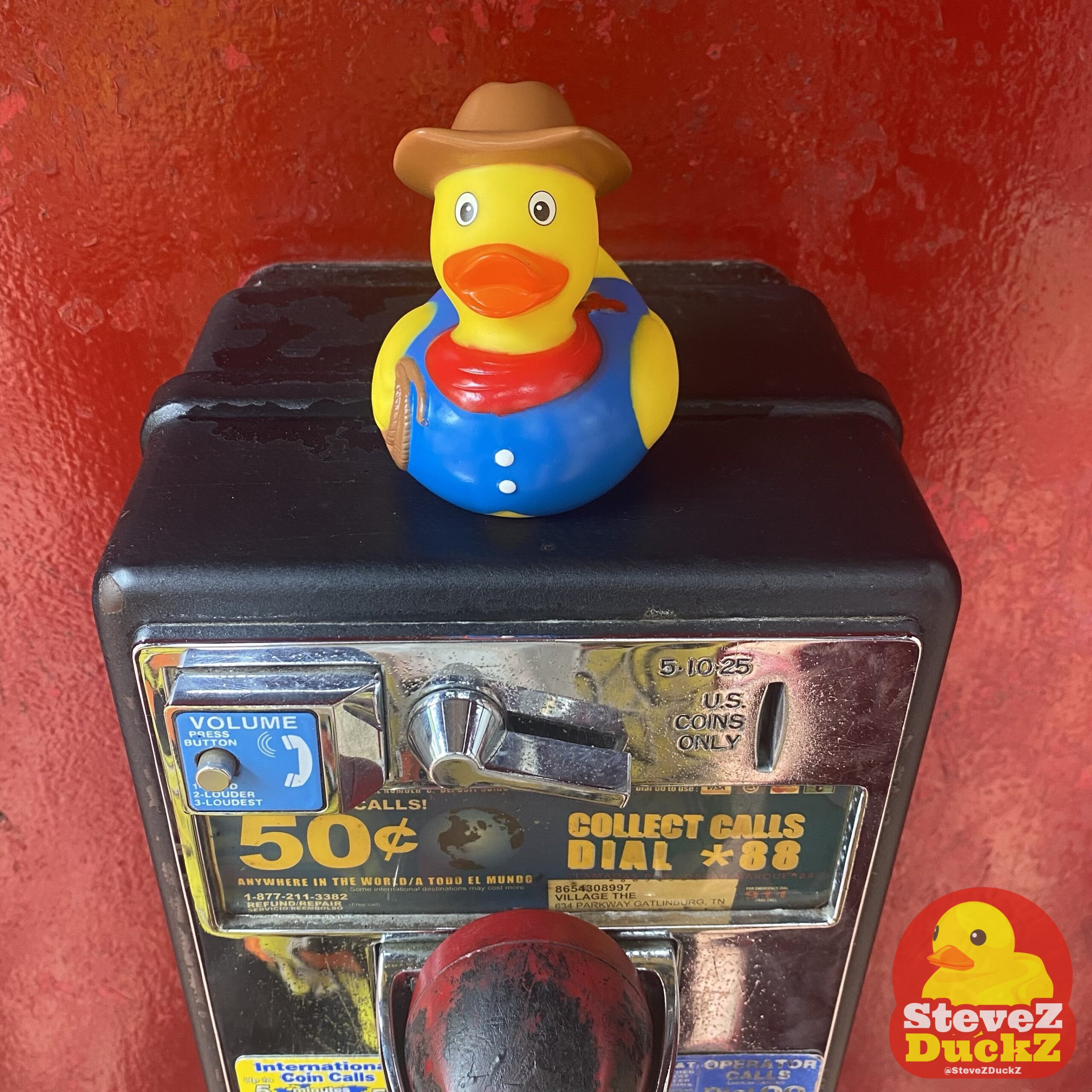 Roy Duckers
