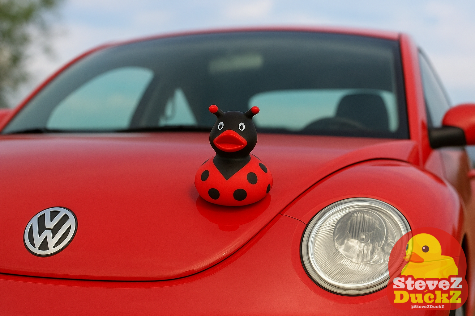 Bug Bug Beetle