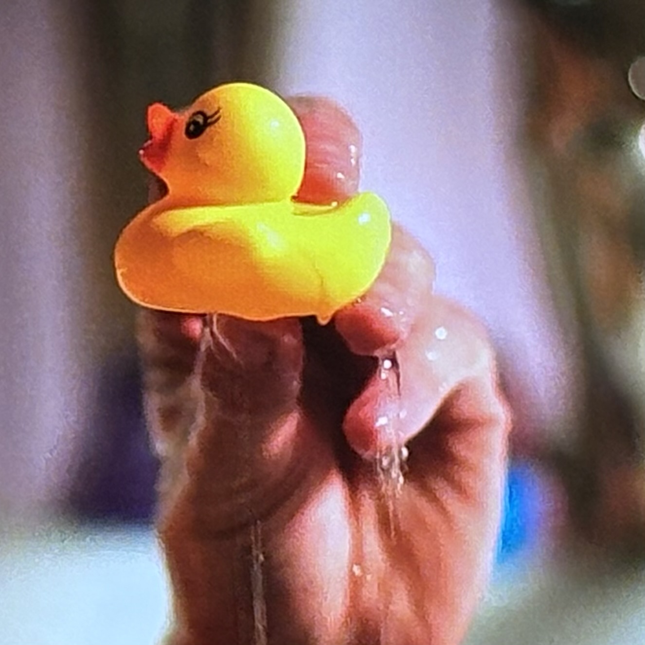 Rubber Duck on The Traitors