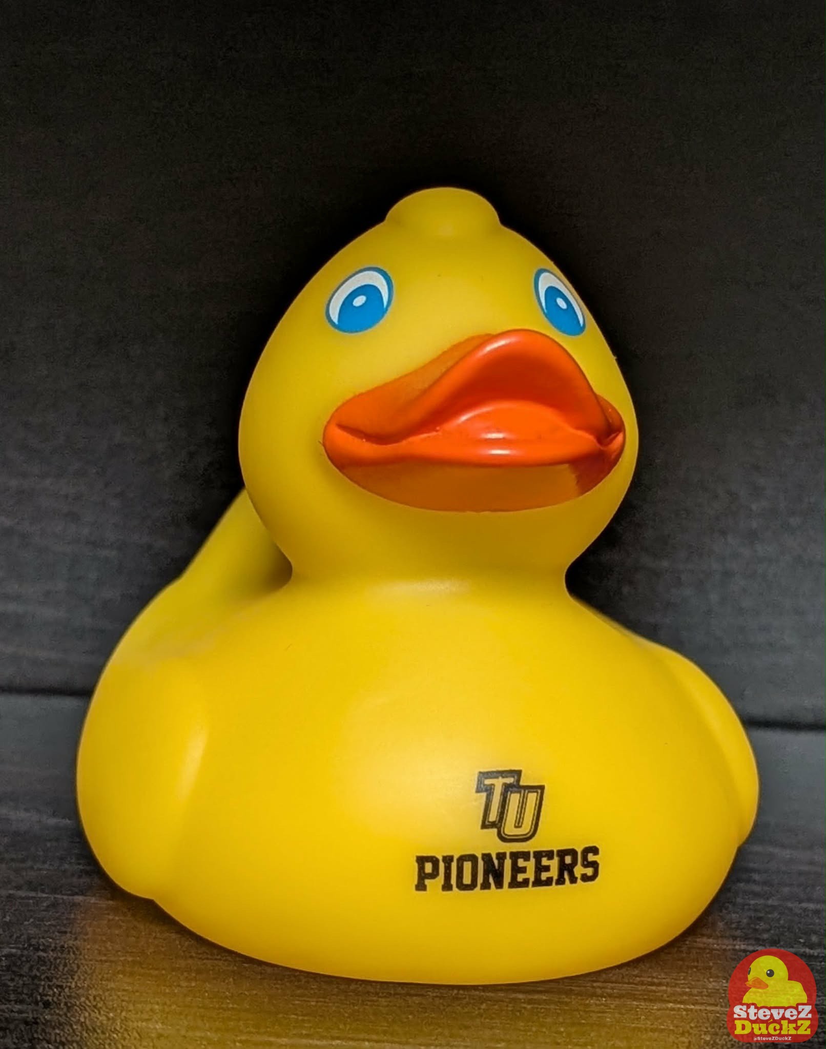 Tusculum University Rubber Ducks
