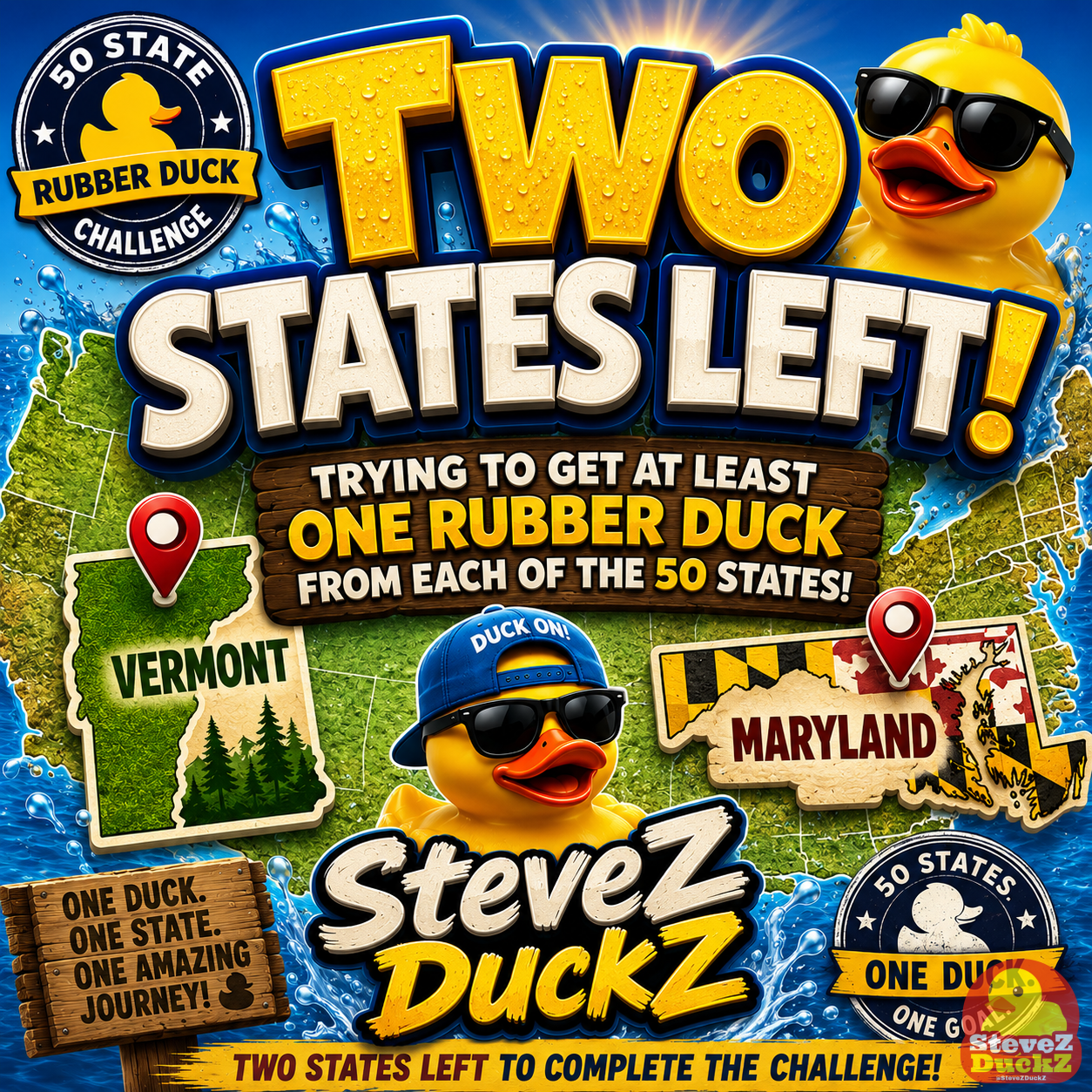 Just Two States Left in My 50 State Rubber Duck Challenge!